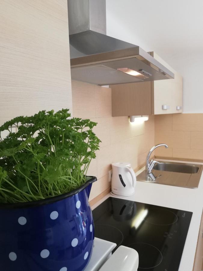 Apartments Mas Dovje Εξωτερικό φωτογραφία